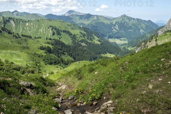 View from the hiking trail to the Hochalp Pass into Kleinwalsertal, behind Walmendinger Horn, Bärgunttal, near Baad, Allgäu Alps, Vorarlberg, Austria