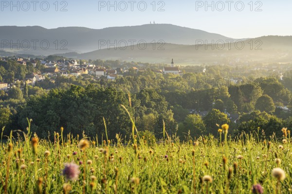 View from the pilgrimage church Weißenregen over Bad Kötzting to the Hohenbogen (Hoher Bogen) . In the centre right the parish church Mariä Himmelfahrt. In the morning. Bad Kötzting, District of Cham, Upper Palatinate, Bavarian Forest, Bavaria, Germany