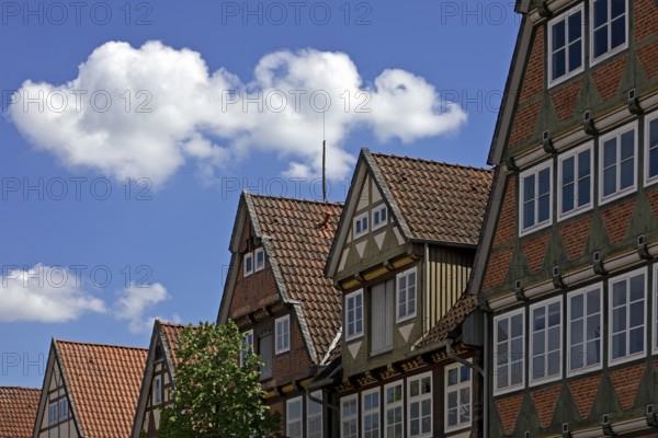 Half-timbered houses in the old town centre, Celle, Lower Saxony, Germany