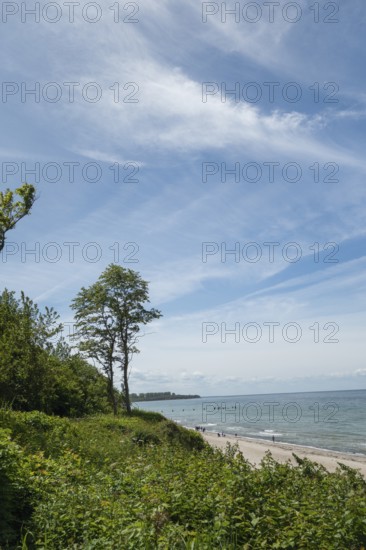 Natural sandy beach, Baltic resort Rerik, Baltic Sea, Rostock district, Mecklenburg-Western Pomerania, Germany