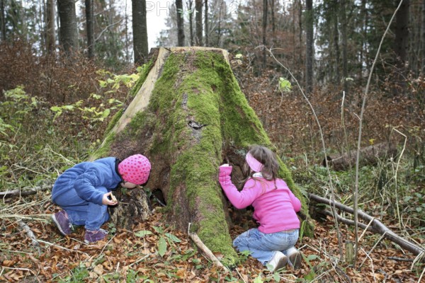 Girls discovering nature, children in nature, love of nature, Allgäu, Bavaria, Germany, Allgäu, Bavaria, Germany