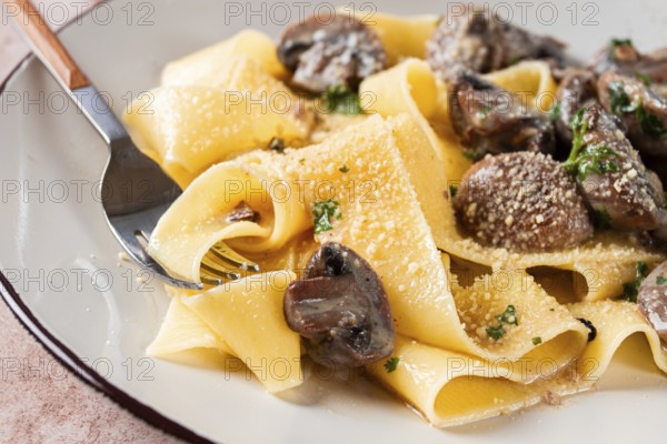 Delicious pappardelle pasta with mushrooms and cream served on a white plate
