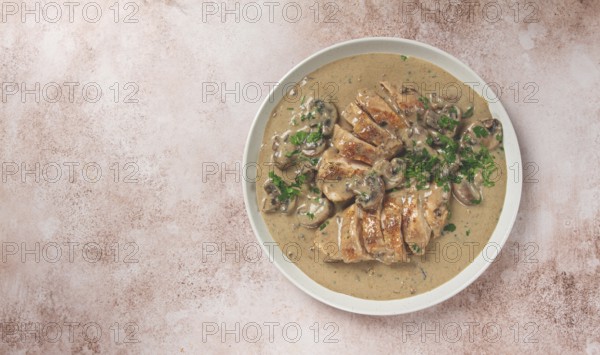 Chicken in cream sauce with mushrooms, on a plate, no people