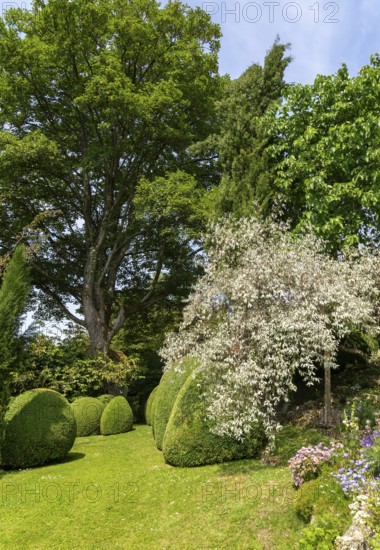 Italianate gardens designed by Harold Ainsworth Peto, Iford Manor, Wiltshire, England, UK