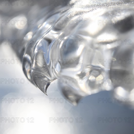 Needle point... Ice tooth (winter flood and cold snap 2020, 2021), ice formed by wind, weather and floods, weather situation, Bislicher Insel near Xanten, nationally known nature reserve, Wesel district, Lower Rhine, Rhineland, North Rhine-Westphalia, Germany, Western Europe