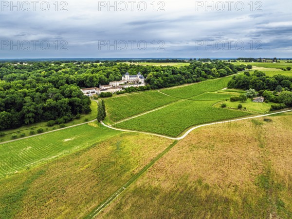 Castle of La Riviere, Vineyard Chateau de La Riviere from a drone, Bordeaux, France