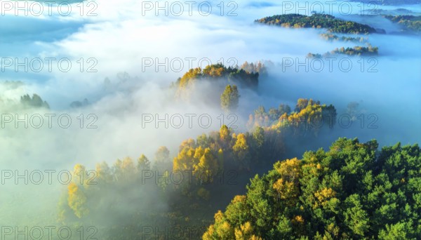 Mystical foggy landscape in autumn, colorful forest with fog in an aerial drone view, AI generated