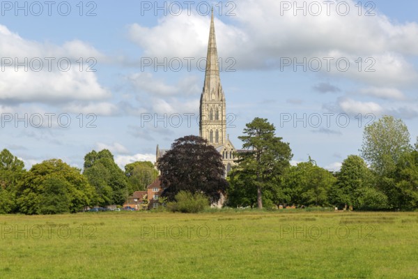 View over water meadows to Salisbury cathedral church, Salisbury, Wiltshire, England, UK