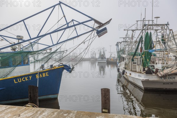 Commercial shrimp boats at the dock in the commercial area of the Biloxi Small Craft Harbor in Biloxi, Mississippi
