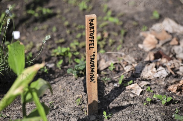 Outdoor exhibition on agriculture and cultivation in front of the Futurium next to the Federal Ministry of Research, Technology and Space