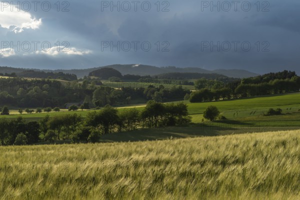Dramatic cloudy sky with approaching storm and last rays of sunshine, Frankenhain, dark cloud wall, thunderstorm in the lift, low mountain landscape, agriculture, forest, grain field, backlight shot, municipality of Berkatal, Werra-Meissner-Kreis, Hesse, Germany