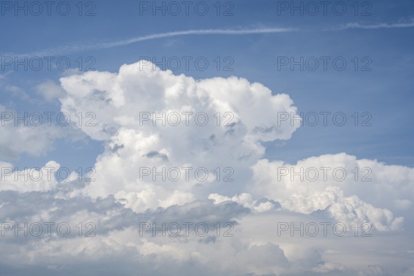 Auftürmende Cumulonimbuswolke, Gewitterwolke, aufziehendes Unwetter mit Hagelsturm über der Schwäbischen Alb, Formatfüllend, Landkreis Sigmaringen, Baden-Württemberg, Deutschland