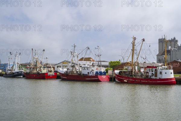 Fishing boats in the fishing harbour, Büsum, North Sea, Schleswig-Holstein, Germany