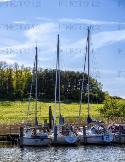 Jetty and landscape at Lake Neuensien in Seedorf, Rügen, Mecklenburg-Western Pomerania, Germany