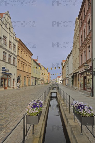 Historic pipe water in the Schlossstraße with flower decoration and houses, sewage, water pipe, water channel, Luther city Wittenberg, Fläming, Saxony-Anhalt, Germany
