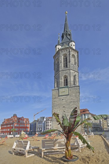 Red Tower with sandy beach, beach and palm tree, landmark, pedestrian zone, market square, Marktschlösschen, Halle an der Saale, Saxony-Anhalt, Germany