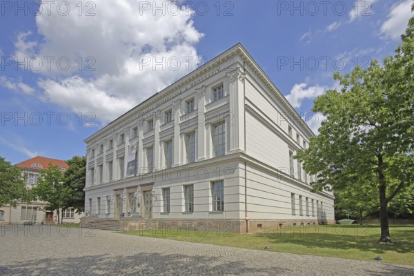 Historic Löwengebäude, Universitätsplatz, University, Halle an der Saale, Saxony-Anhalt, Germany