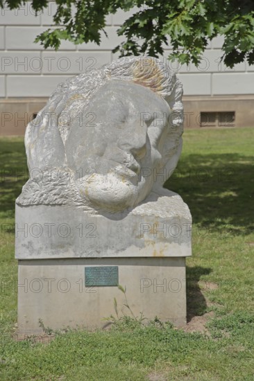Monument to the poet and writer Heinrich Heine, stone sculpture, head, oversize, University Square, University, Halle an der Saale, Saxony-Anhalt, Germany
