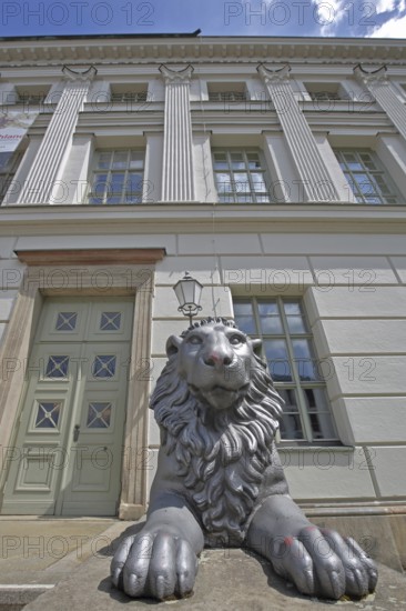 Head of lion figure and entrance to historic lion building, front door, palace, modern art, sculpture, lion's head, paws, lion, oversized, university square, university, Halle an der Saale, Saxony-Anhalt, Germany