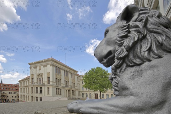 Head of lion figure and historical Melanchtonianum, palace, modern art, sculpture, lion head, lion, oversize, lion building, university square, university, Halle an der Saale, Saxony-Anhalt, Germany