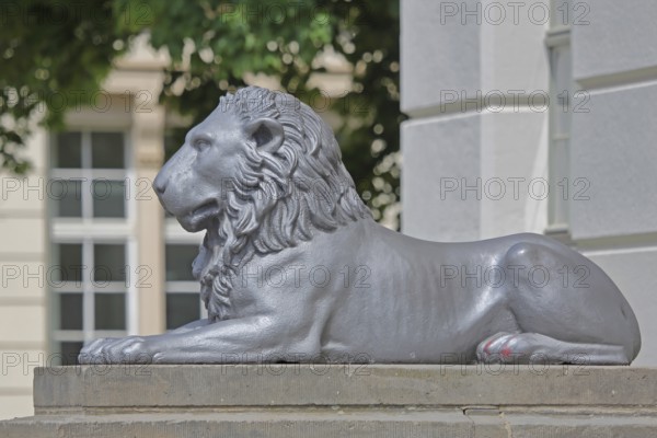 Lion figure at the lion building, modern art, sculpture, oversize, university square, university, Halle an der Saale, Saxony-Anhalt, Germany