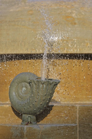 Sculpture Göbel Fountain by Bernd Göbel 1999, modern art, water jet, water features, water fountain, water splash, splash, animal figure, sea animal, snail, nautilus, pearl boat, horn, detail, Hallmarkt, Halle an der Saale, Saxony-Anhalt, Germany