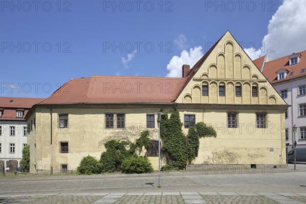 Historic building of the Domapotheke zum Rautenkranz, former pharmacy, Merseburg, Saxony-Anhalt, Germany
