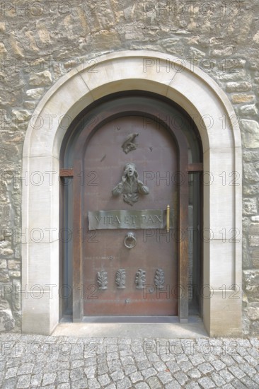 Door with fittings and entrance to the cathedral, front door with decorations and door knocker ring, door knocker, inscription, figure, head, Merseburg, Romanesque Road, Saxony-Anhalt, Germany