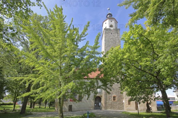 Castle with tower and museum, Lützen, Saxony-Anhalt, Germany