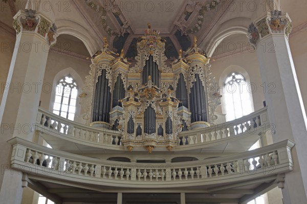 Organ of the baroque town church, pulpit dome, soundboard, pulpit canopy, interior view, St Wenceslas, town church, Saale, Naumburg, Saxony-Anhalt, Germany
