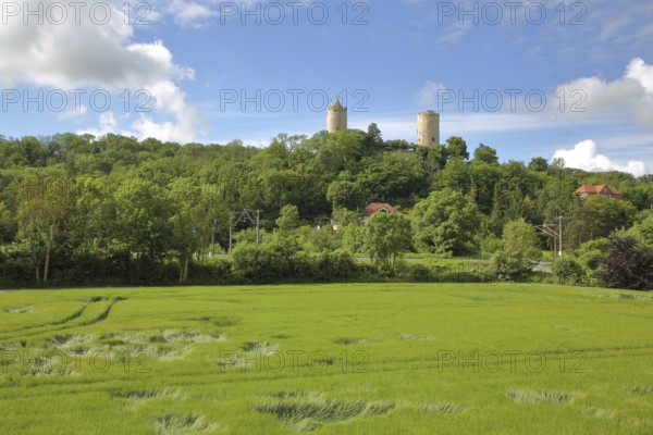 Castle with towers in the forest on the hill, green field with pattern, Saaleck, Bad Kösen, Saale, Naumburg, Saxony-Anhalt, Germany