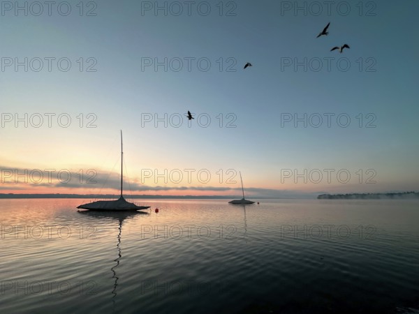 Evening mood, seagulls, sailing boats on Lake Starnberg, Bavaria, Germany