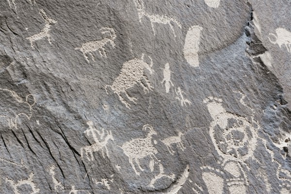 Indian petroglyphs, Newspaper Rock State Park, Utah, USA