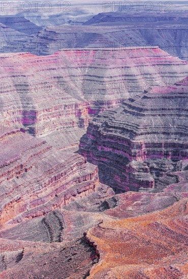 Goosenecks State Park, Utah, USA