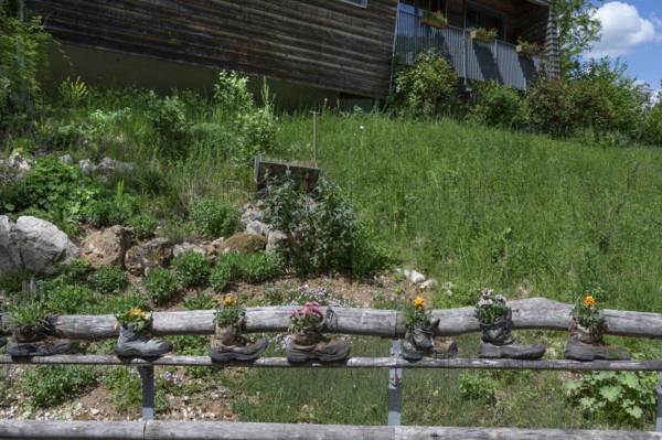 Wooden railing with flowers in worn mountain boots, Bavaria, Germany