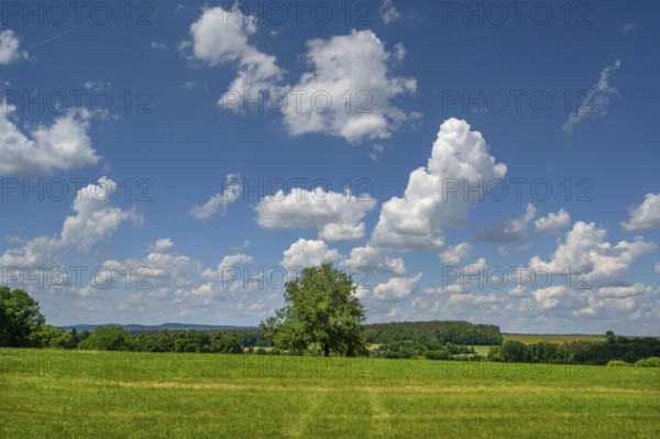Franconian landscape with cloudy sky, Neunhof, Middle Franconia, Bavaria, Germany