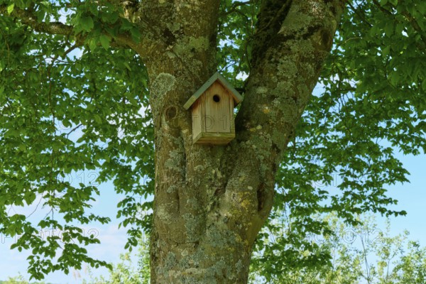 A wooden birdhouse in a large tree with green leaves, France