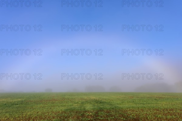An arc of fog appears over a misty field radiating a calm atmosphere, Mönchberg, Miltenberg, Spessart, Bavaria, Germany