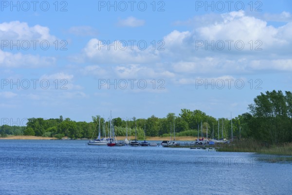 Lake with boats on the shore, surrounded by trees under a blue sky, Rhodes, Etang du Stock, Sarrebourg, Moselle, France