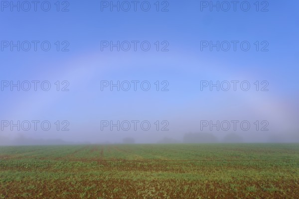 An arc of fog stretches across a misty morning sky, overlooking fields, Mönchberg, Miltenberg, Spessart, Bavaria, Germany