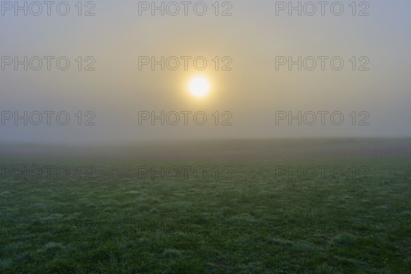 Lonely sunrise behind fog over a quiet field, creates a mystical environment, Mönchberg, Miltenberg, Spessart, Bavaria, Germany
