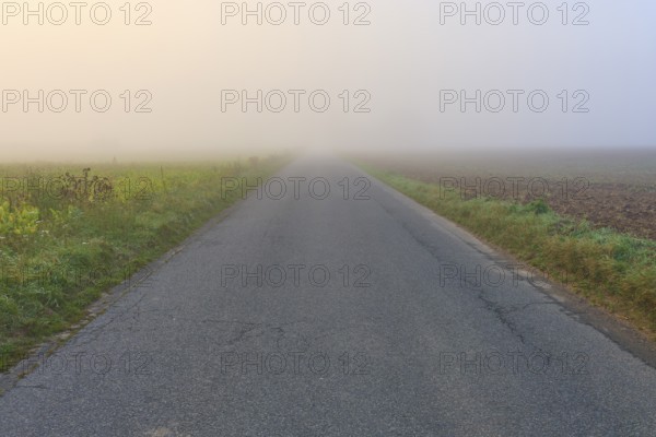 Abandoned road in the fog, flanked by fields, in calm autumn light, Mönchberg, Miltenberg, Spessart, Bavaria, Germany