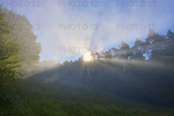 Sunbeams break through the morning mist in a forest and shine gently on it, Mönchberg, Miltenberg, Spessart, Bavaria, Germany