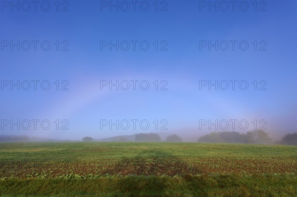 An arc of fog arches over a misty field in a quiet morning scene, Mönchberg, Miltenberg, Spessart, Bavaria, Germany