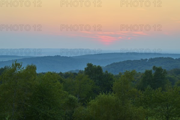 Hill with trees at dusk, pink sky, quiet landscape, Geishöhe, Dammbach, Spessart, Bavaria, Germany