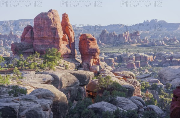 Sandstone pinnacles, Chesler Park, The Needles district, Canyonlands National Park, Utah, USA