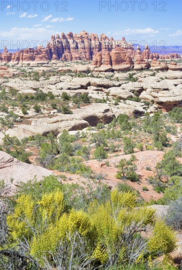 Sandstone pinnacles, Chesler Park, The Needles district, Canyonlands National Park, Utah, USA