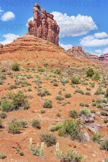 Valley of the Gods, Utah, USA