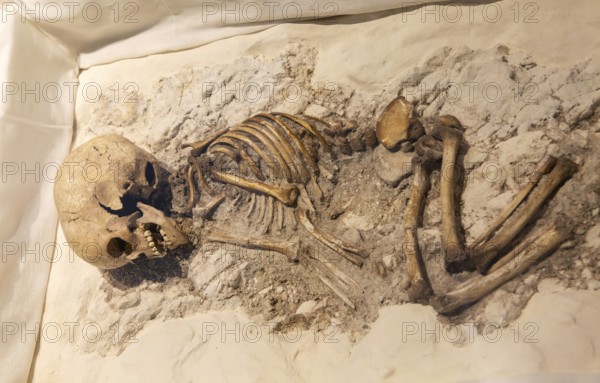Neolithic archaeology exhibition inside Alexander Keiller Museum, Avebury, Wiltshire, England, UK - skeleton of a child