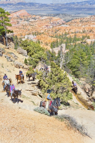 Bryce Canyon, Bryce Canyon National Park, Utah, USA